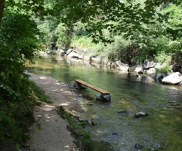 Hotel Landgasthof Steinmuehl Hofbauer Fruehstueckspension Und *
