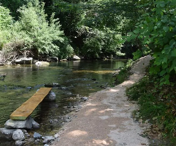Landgasthof Steinmuehl Hofbauer Fruehstueckspension Und * Waidhofen an der Ybbs